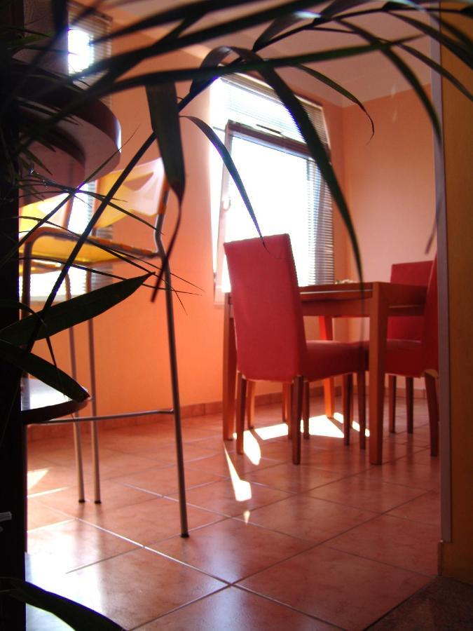 Apartments Bozica 크르크 외부 사진